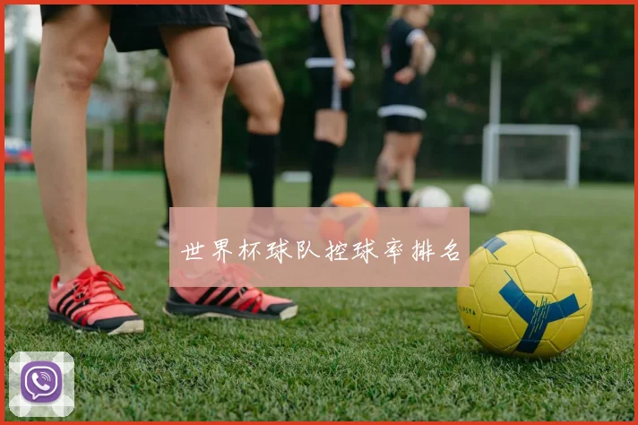 世界杯球队控球率排名