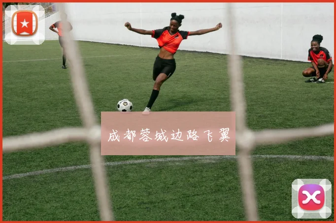 成都蓉城边路飞翼