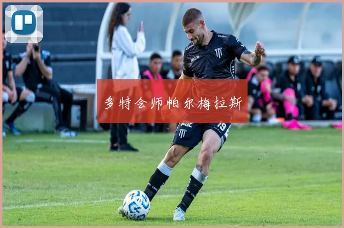 多特会师帕尔梅拉斯